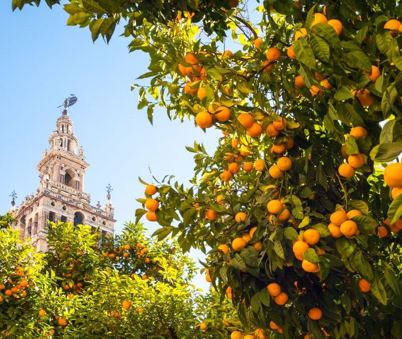 ANDALUCÍA