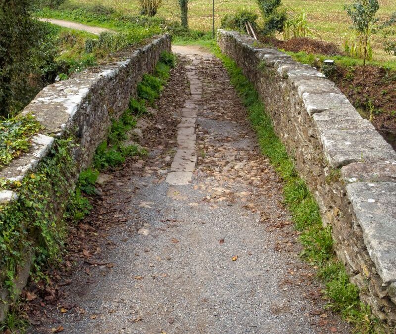 CAMINO FRANCÉS