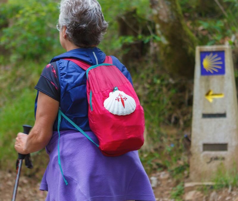 CAMINO FRANCÉS COMPLETO