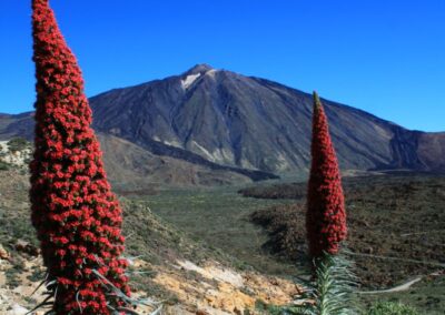ISLAS CANARIAS
