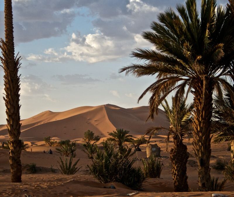 ESCAPADA MARRAKECH – DUNAS DE MERZOUGA