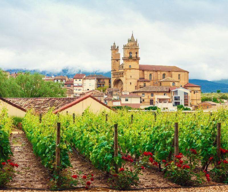 NAVARRA Y LA RIOJA