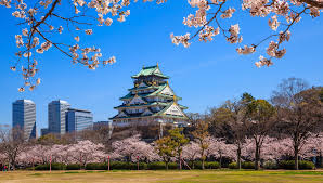 JAPON A MEDIDA (TOKYO, KYOTO Y OSAKA)