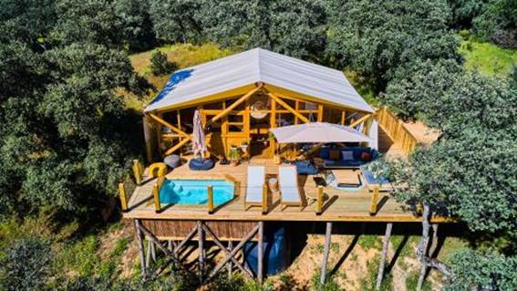 Hotel La Dehesa Experiences
